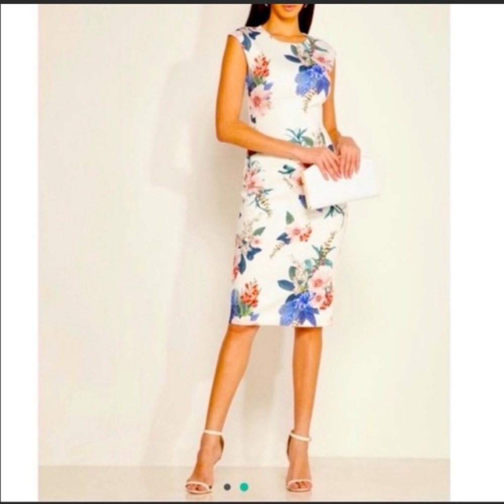 Ted Baker- Sharley dress size 1 (US 4)